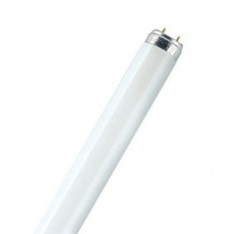 Philips Fluorbuis TLD TL8 36W 830 3000K G13 Plus Reflex 1200Mm 